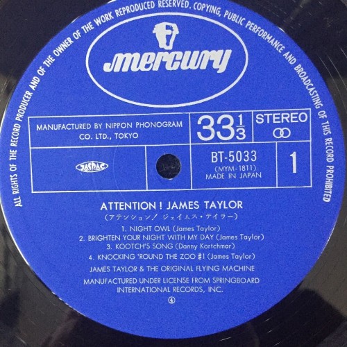 James Taylor And The Original Flying Machine (LP)